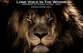یک صدای تنها در میان جنگل