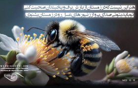 صدای پرواز زنبورهای عسل